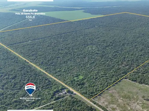 Ruta Provincial RP98-S