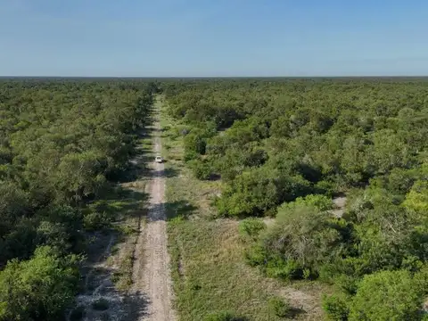 Ruta Provincial RP98-S