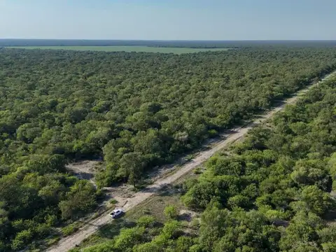 Campo ganadero en GARABATO (Santa Fe)