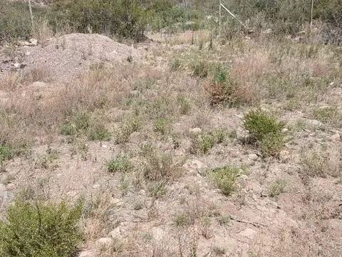 Terreno En Venta En Lujan  2000 Metros Cuadrados