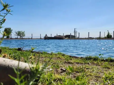 Terreno en Venta de 1000,0 m2