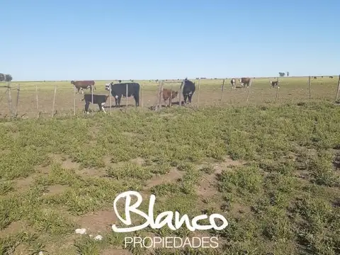 Casa en Venta en La Viticola, USD 1