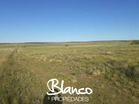 Campo  en Venta en La Vitícola, Bahia Blanca, Resto de la Provincia