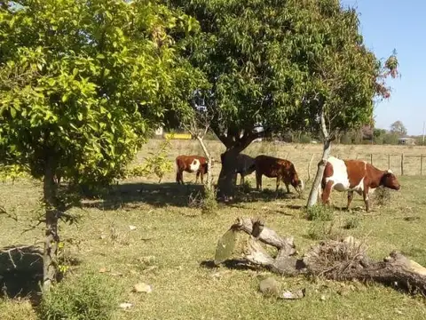 Terreno en Venta, FOS 1