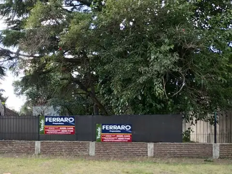 Murature N° 2242 e/ Robinson