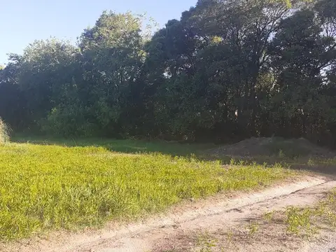 Terreno en Venta 32  mts Fondo
