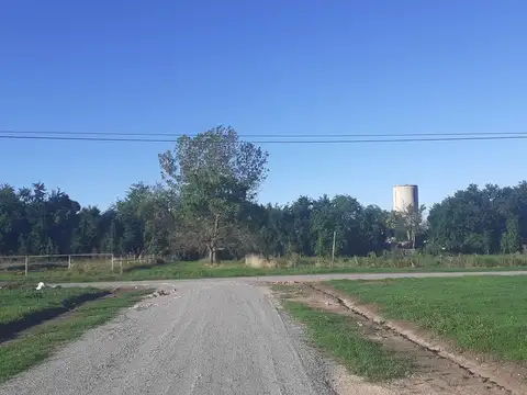 Terreno - Villa Elisa