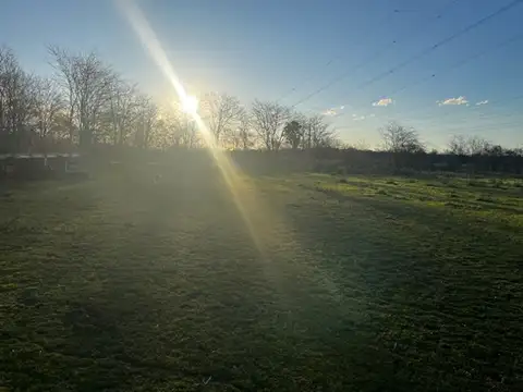 CAMPO DE 4 HECTAREAS OPORTUNIDAD -VICENTE CASARES