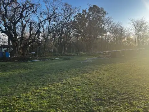 CAMPO DE 4 HECTAREAS OPORTUNIDAD -VICENTE CASARES