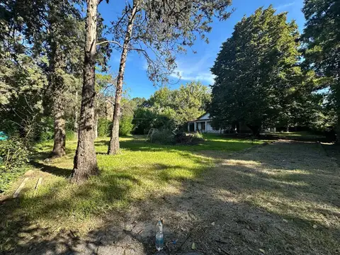 Gobernador Guillermo Udaondo 3400