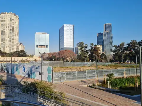 campo salles al 1100