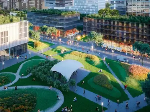 campo salles al 1100