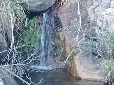 VENTA DE CAMPO 138 HECTÁREAS - SAN LUIS