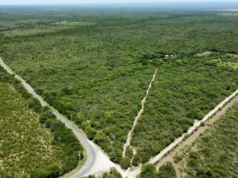 VENTA CAMPO Y CASAS 87,5 Ha LA POBLACION ESCRITURA