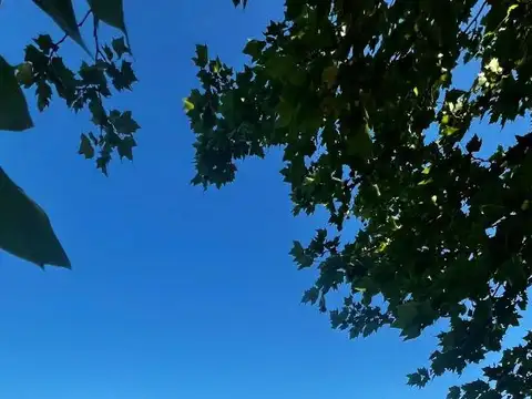 Terreno en Venta de 1534,0 m2