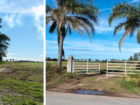 VENTA Campo Industrial-Logistico en zona Portuaria