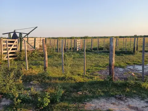 Campo en Venta Agricola