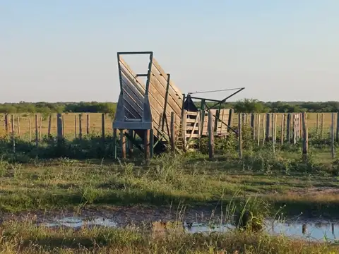 VENTA CAMPO  40 HAS SOLEDAD SANTA FE