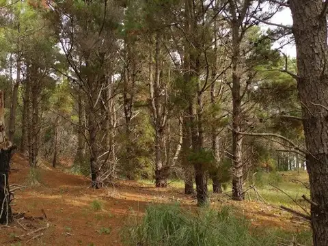 Terreno en venta - 1.000Mts2 - Punta Médanos