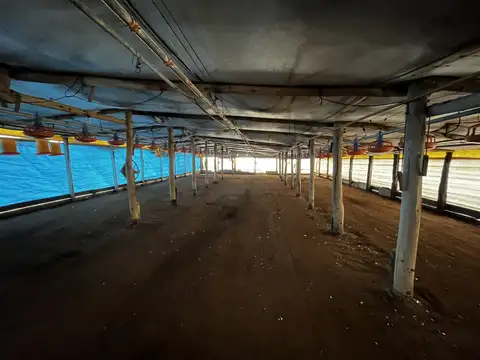 Vendo Campo 76 Hectáreas en Caseros, Entre Ríos.