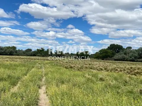 VENTA CHACRA 82 HECTAREAS EN POMONA