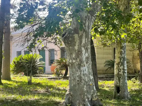 Campo en Venta Mixto