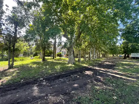 Campo en Venta de 155  ha