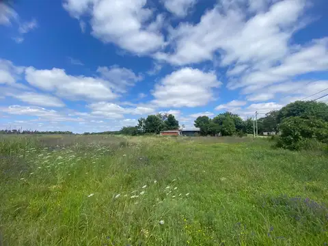 Calle Pública al 400