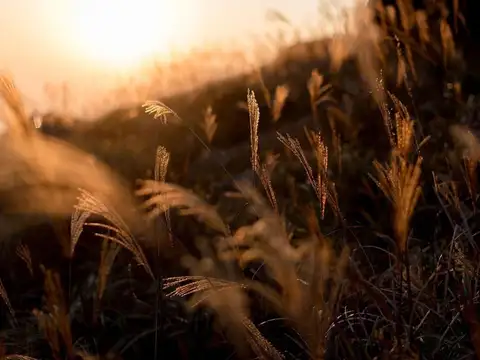 Terreno en Venta de 700,0 m2