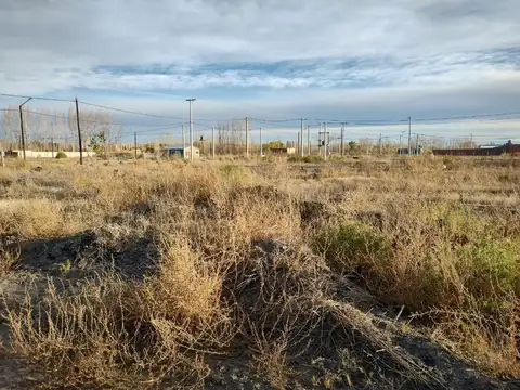 Terreno en Venta de 250,0 m2