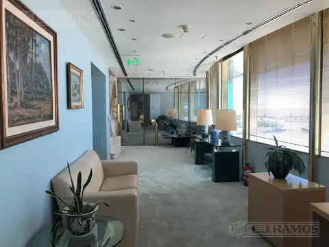 Oficina en Alquiler 26 años