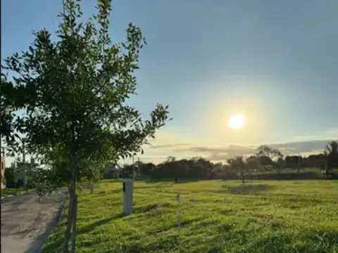 Lote 01 Mz.74 (ESQUINA) TEJAS 4 MALAGUEÑO  (ETAPA 2 ) 100