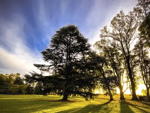Terreno - Venta - Argentina, Luján