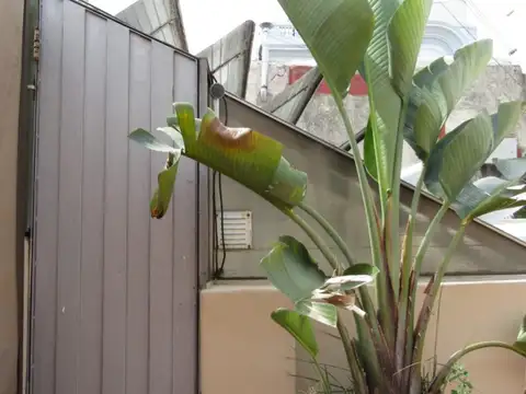 Departamento en Alquiler Temporal en San Telmo, USD 800