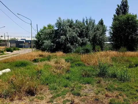 Terreno en Venta en Centenario, USD 50.000