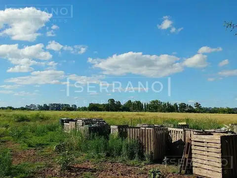 MMP. Campo 146 ha. Zona Cardales, Campana