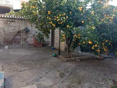 Adolfo Sourdeaux 600