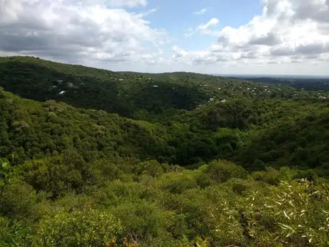 Terreno en Venta en Villa Cerro Azul, USD 50.000