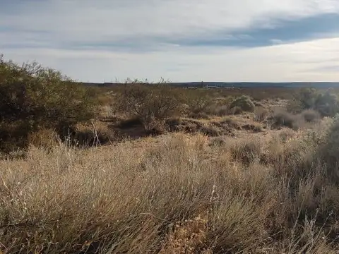 Terreno en Chocon Medio