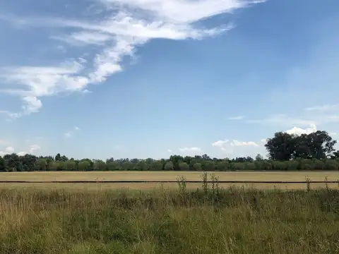 Terreno en Venta en Vicente Casares, USD 35.000