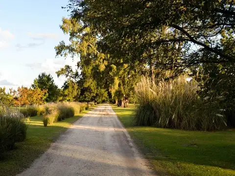 Terreno en Venta en Vicente Casares, USD 35.000