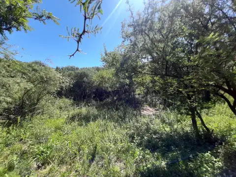 Los Molles y Tacuari