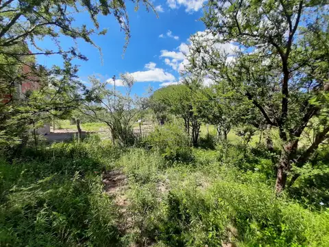 Terreno en Venta de 565,0 m2