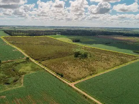 Campo en Venta de 24  ha