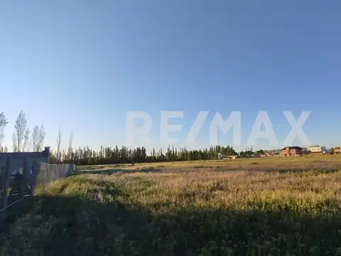 Terreno en Venta en Cipolletti, USD 79.000