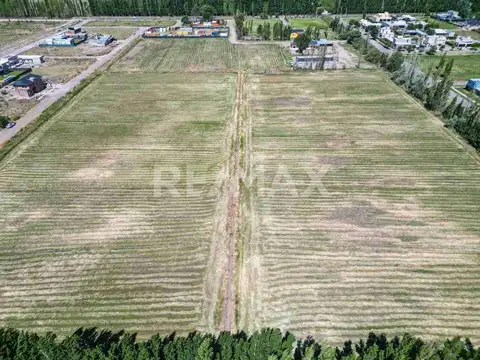 Terreno en venta, Manzanar de Gines 3, Cipolletti