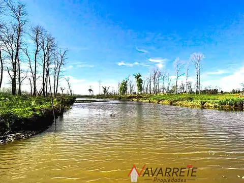 Islas de Arroyo Cuevas Grande y Río Parana de las Palmas, B1645 San Fernando, Provincia de Buenos Aires