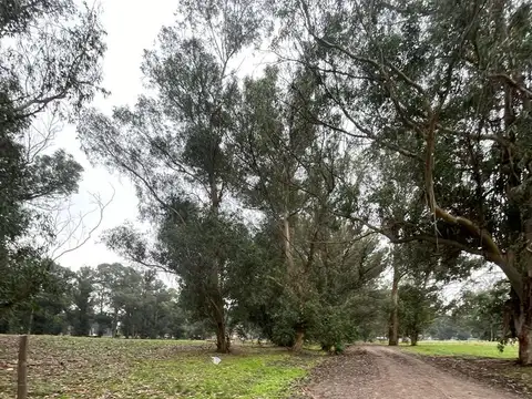 Terreno en Venta de 300,0 m2