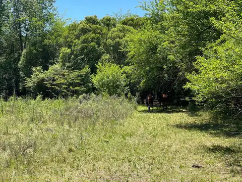 Terreno en Venta de 1000,0 m2