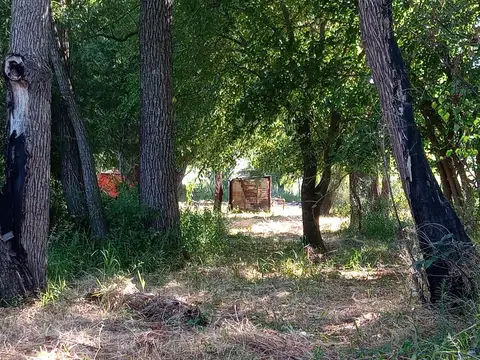 Campo en Venta de 40  ha